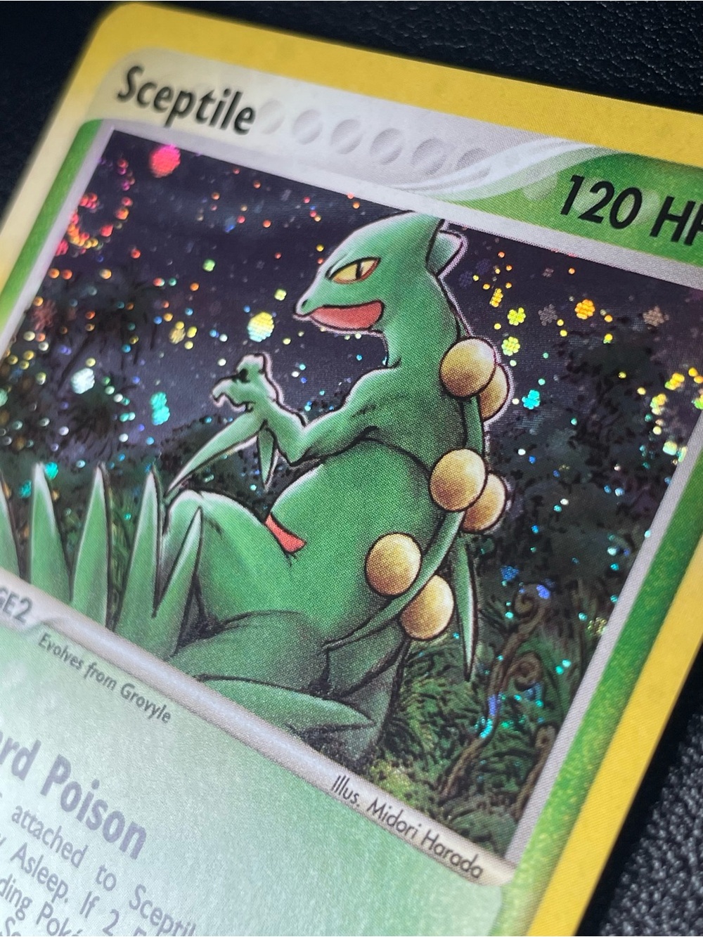 Sceptile #11/Holo/Pokemon Ruby & Sapphire - Picture 9 of 15